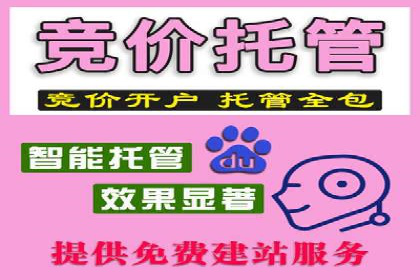 某某sem公司案例解析：如何运用SEM策略助力企业增长